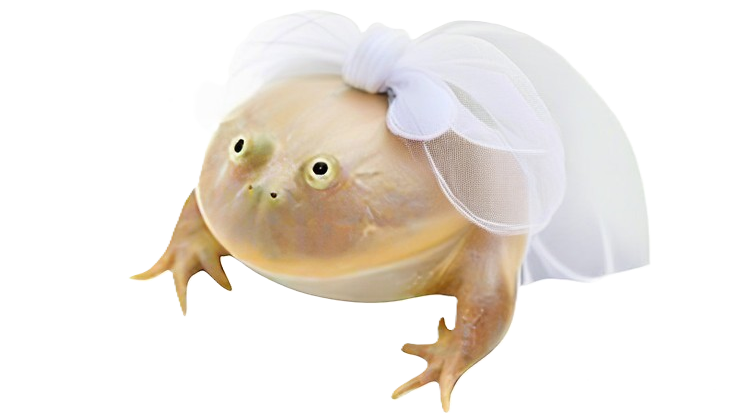 Лиза